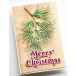 Poppy Stamps Stanzschablone - Pine Needle Shoots
