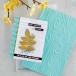 Spellbinders Knock on Wood 3D Embossing Folder GROSS
