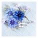 Spellbinders Wildly Beautiful 3D Embossing Folder GROSS